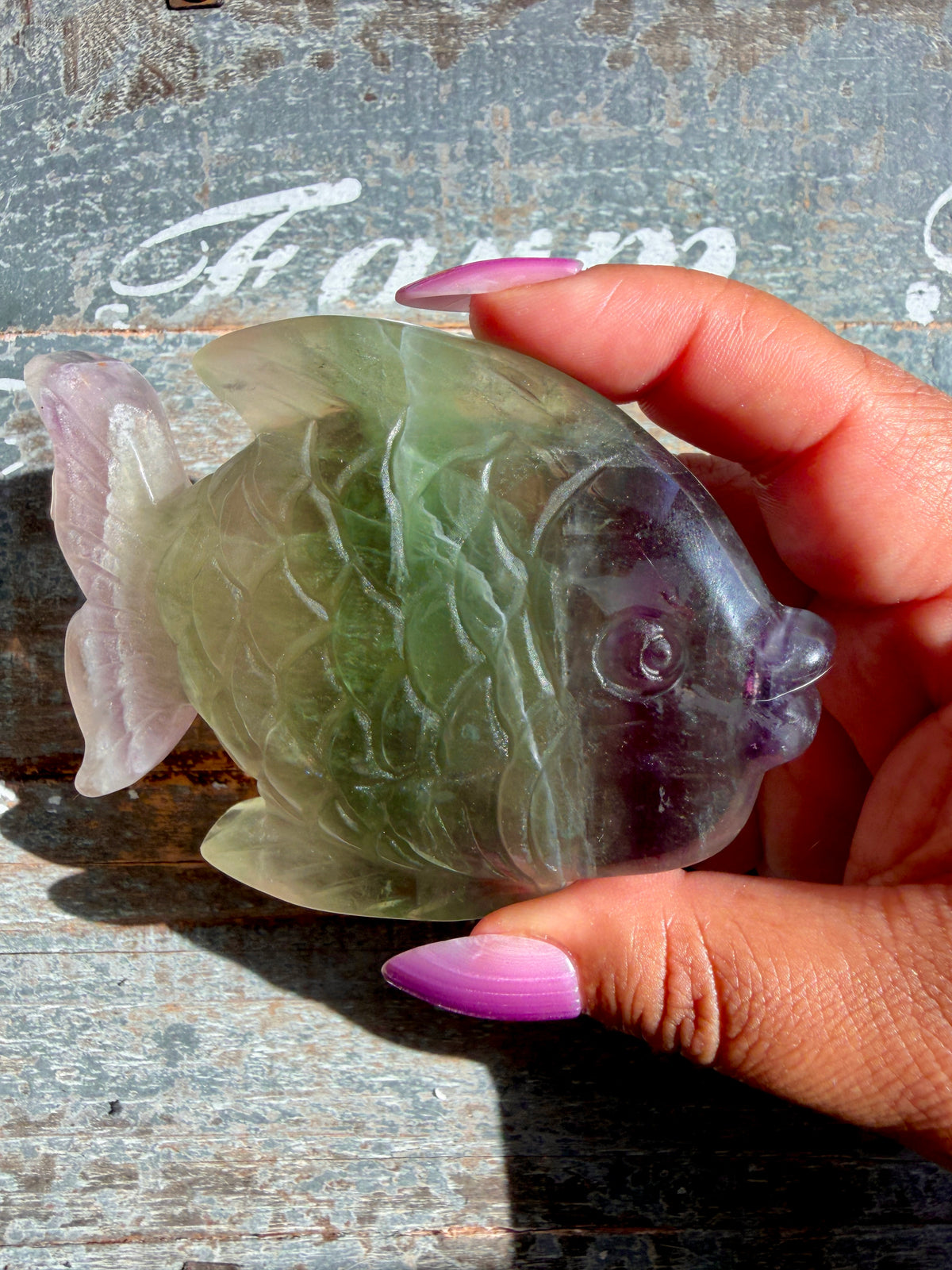 Adorable Rainbow Fluorite Fish | Opt K