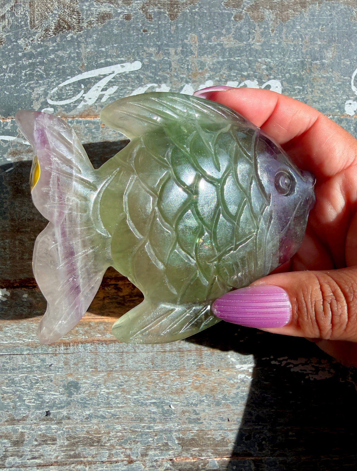 Adorable Rainbow Fluorite Fish | Opt K