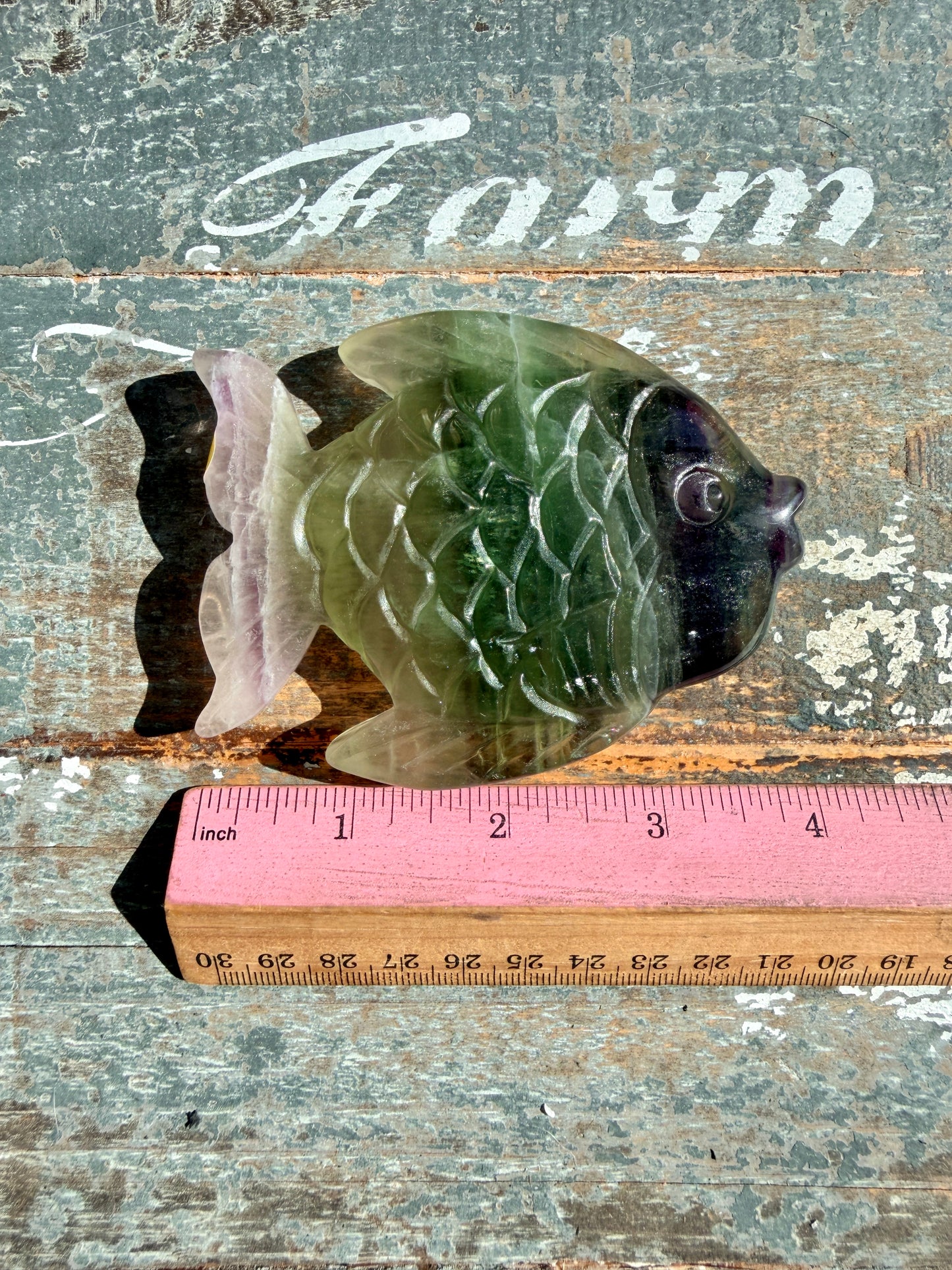 Adorable Rainbow Fluorite Fish | Opt K