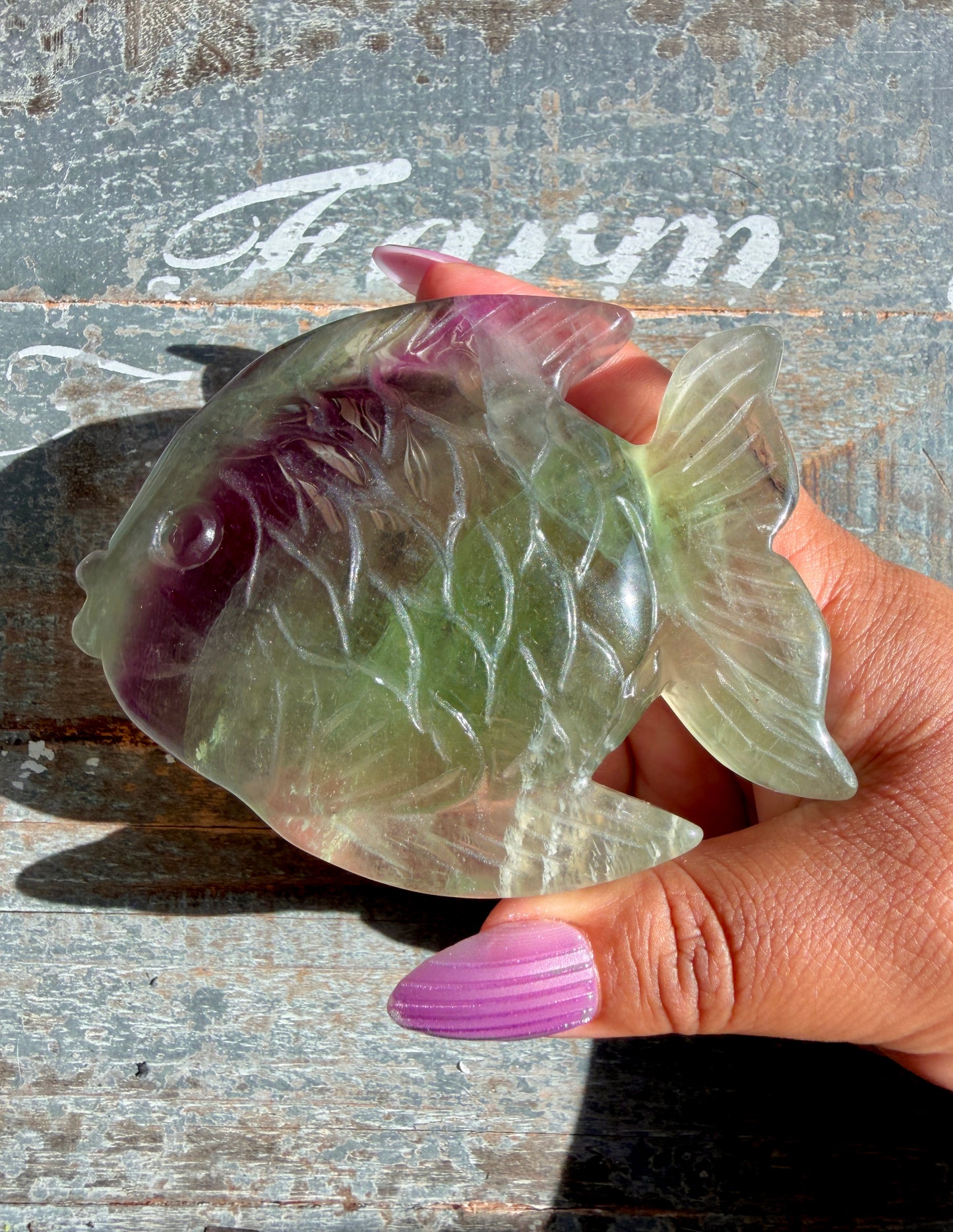 Adorable Rainbow Fluorite Fish | Opt M