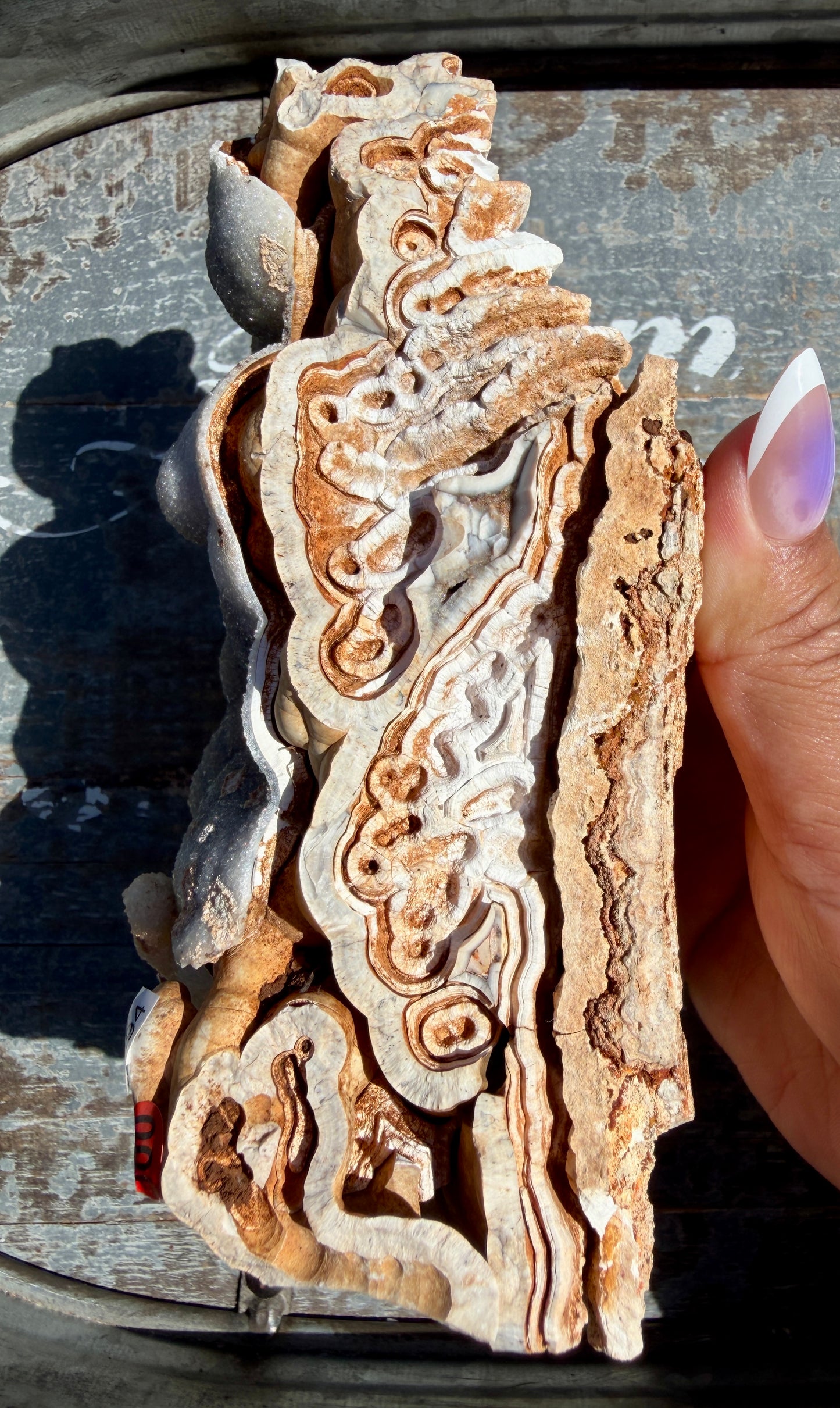 Gorgeous Sparkly Botryoidal Specimen | Brazil | Opt 100 (VIDEO IN LISTING)