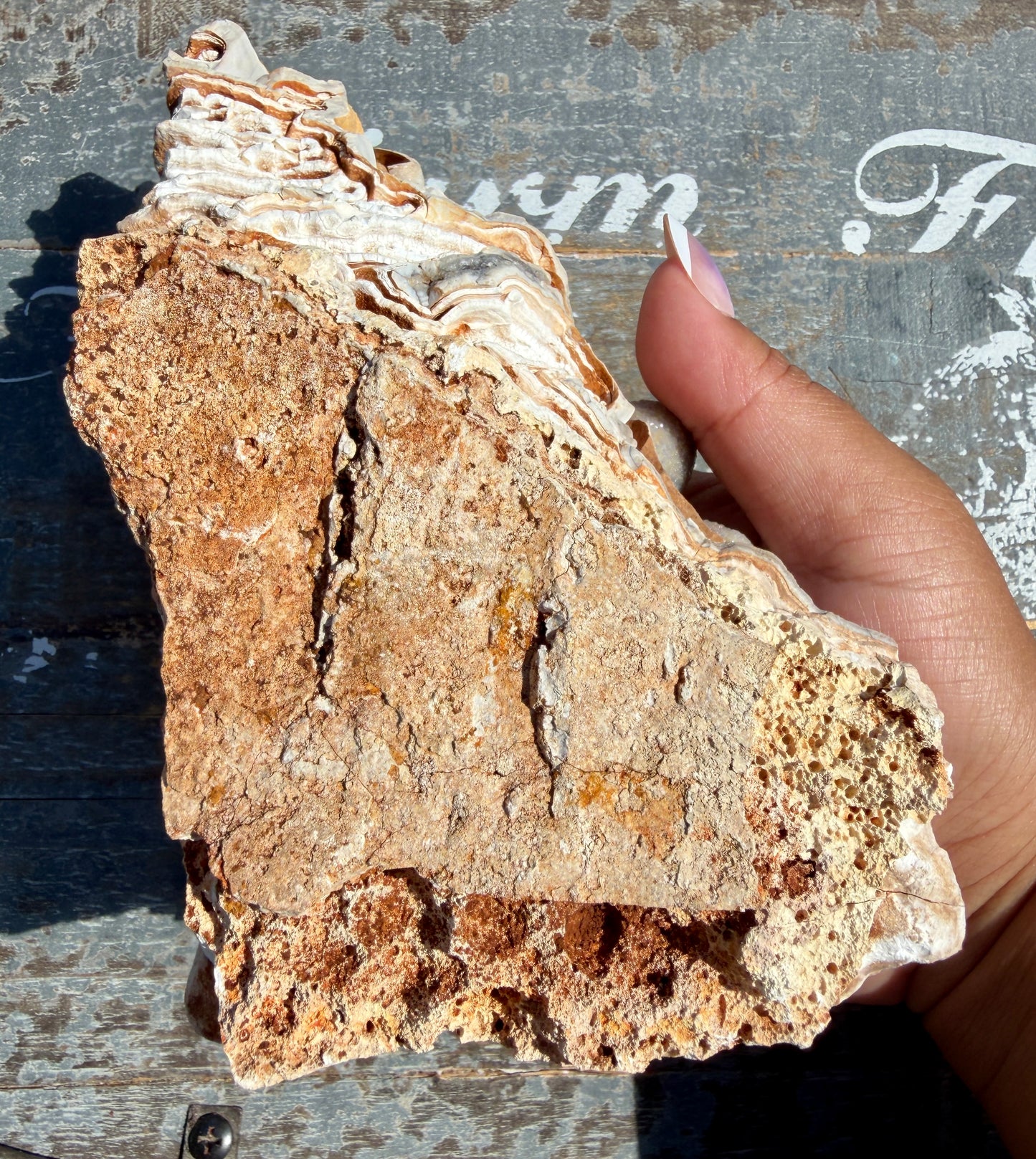 Gorgeous Sparkly Botryoidal Specimen | Brazil | Opt 100 (VIDEO IN LISTING)
