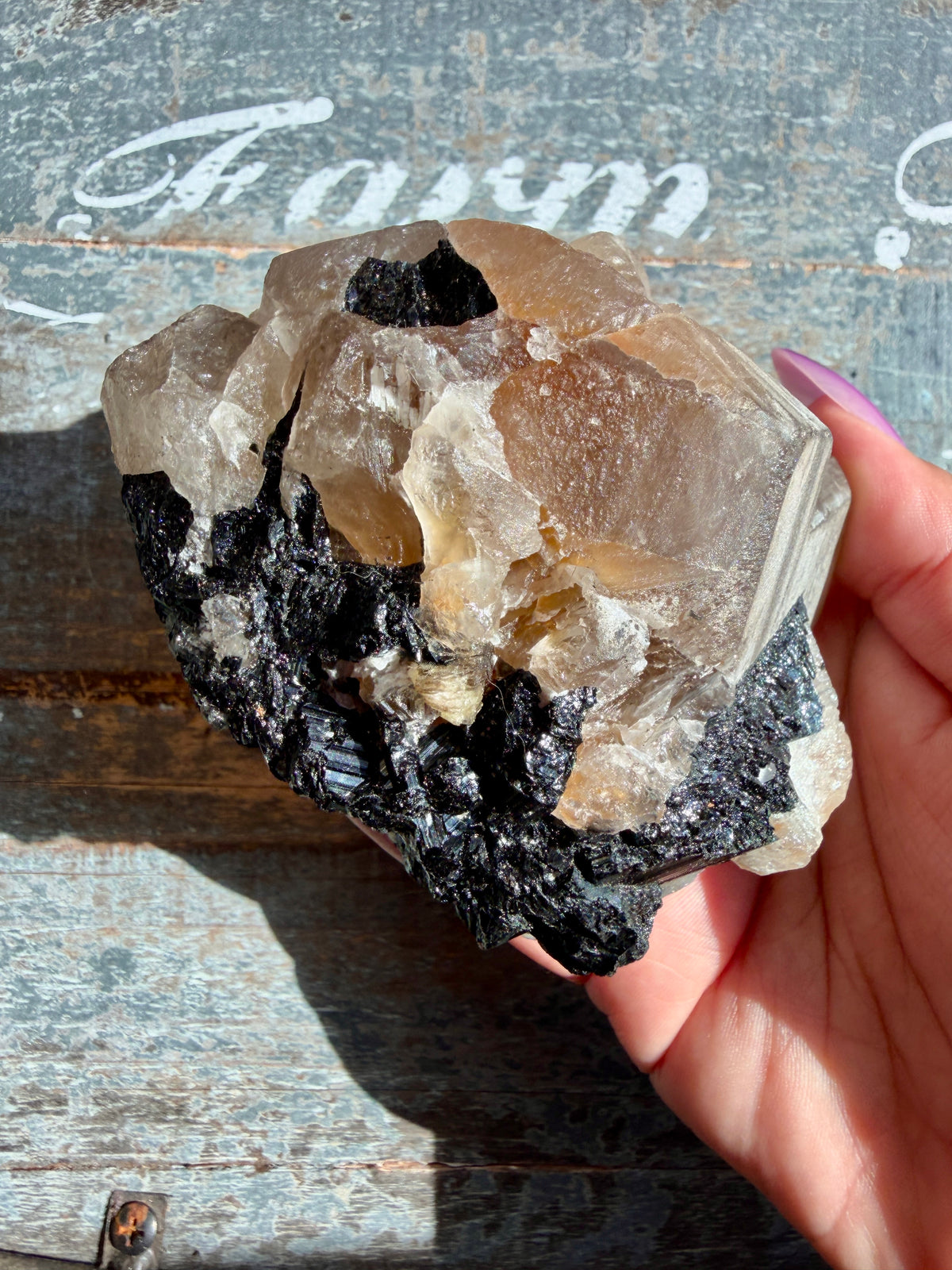 Gorgeous Black Tourmaline in Citrine Quartz on Stand | Brazil | Opt 2