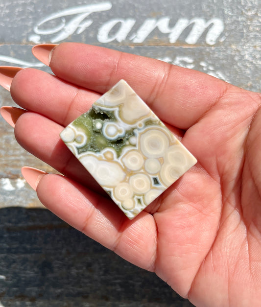 Gorgeous Authentic Ocean Jasper Mini Slab from Madagascar