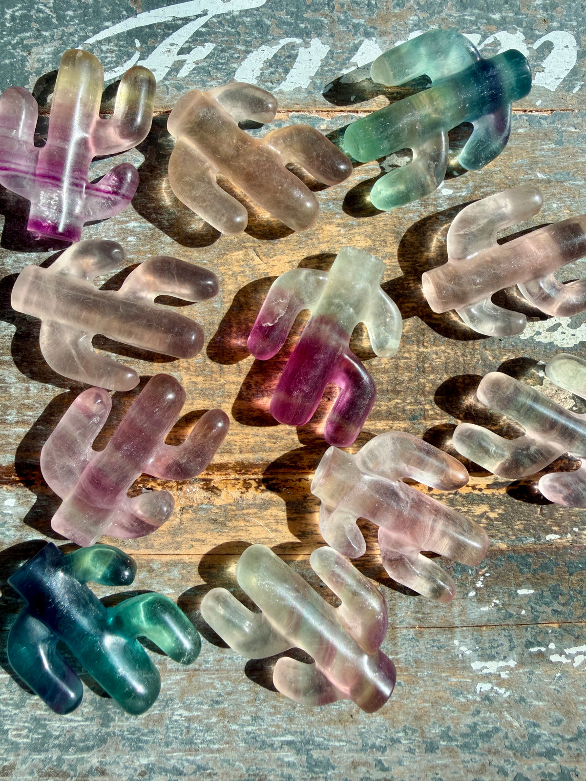 One (1) Adorable Candy Fluorite Cactus | Intuitively Chosen