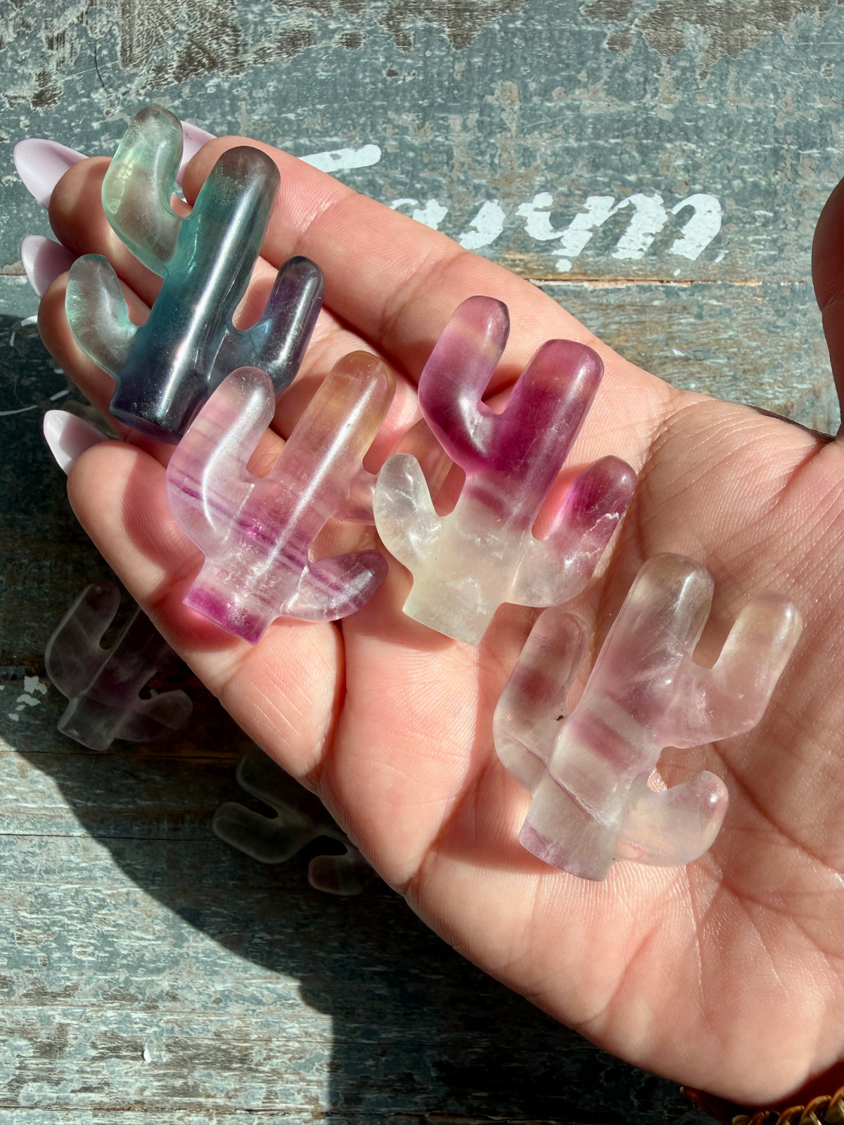 One (1) Adorable Candy Fluorite Cactus | Intuitively Chosen