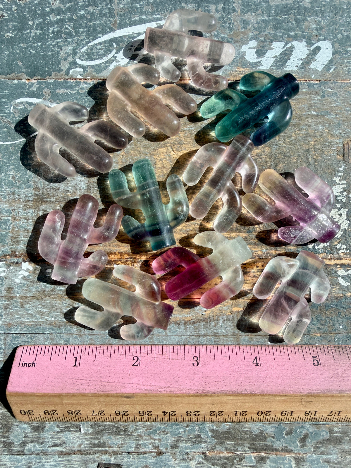 One (1) Adorable Candy Fluorite Cactus | Intuitively Chosen