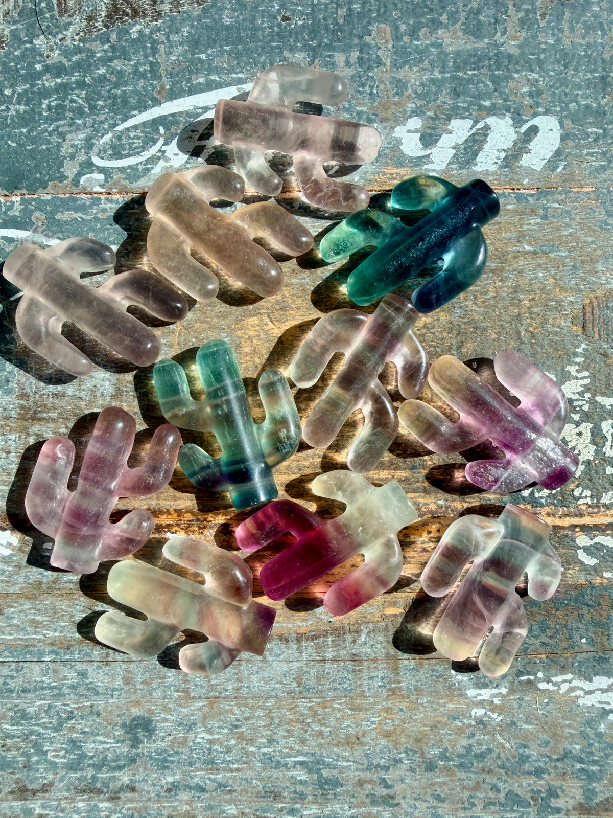 One (1) Adorable Candy Fluorite Cactus | Intuitively Chosen