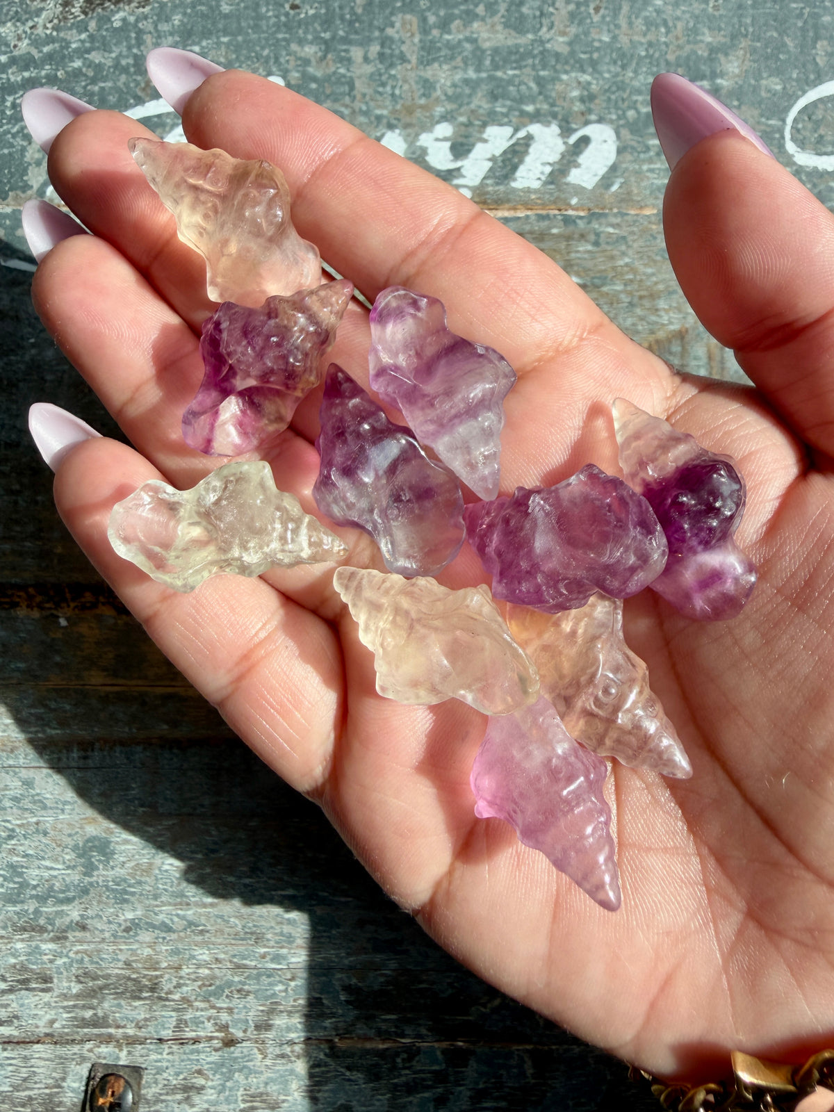 One (1) Adorable Candy Fluorite Mini Shell | Intuitively Chosen