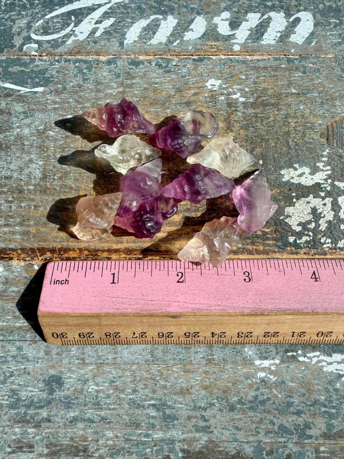 One (1) Adorable Candy Fluorite Mini Shell | Intuitively Chosen