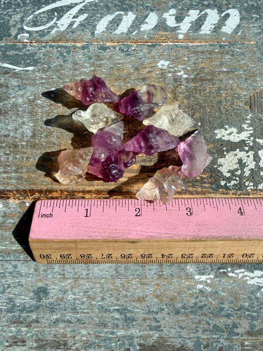 One (1) Adorable Candy Fluorite Mini Shell | Intuitively Chosen