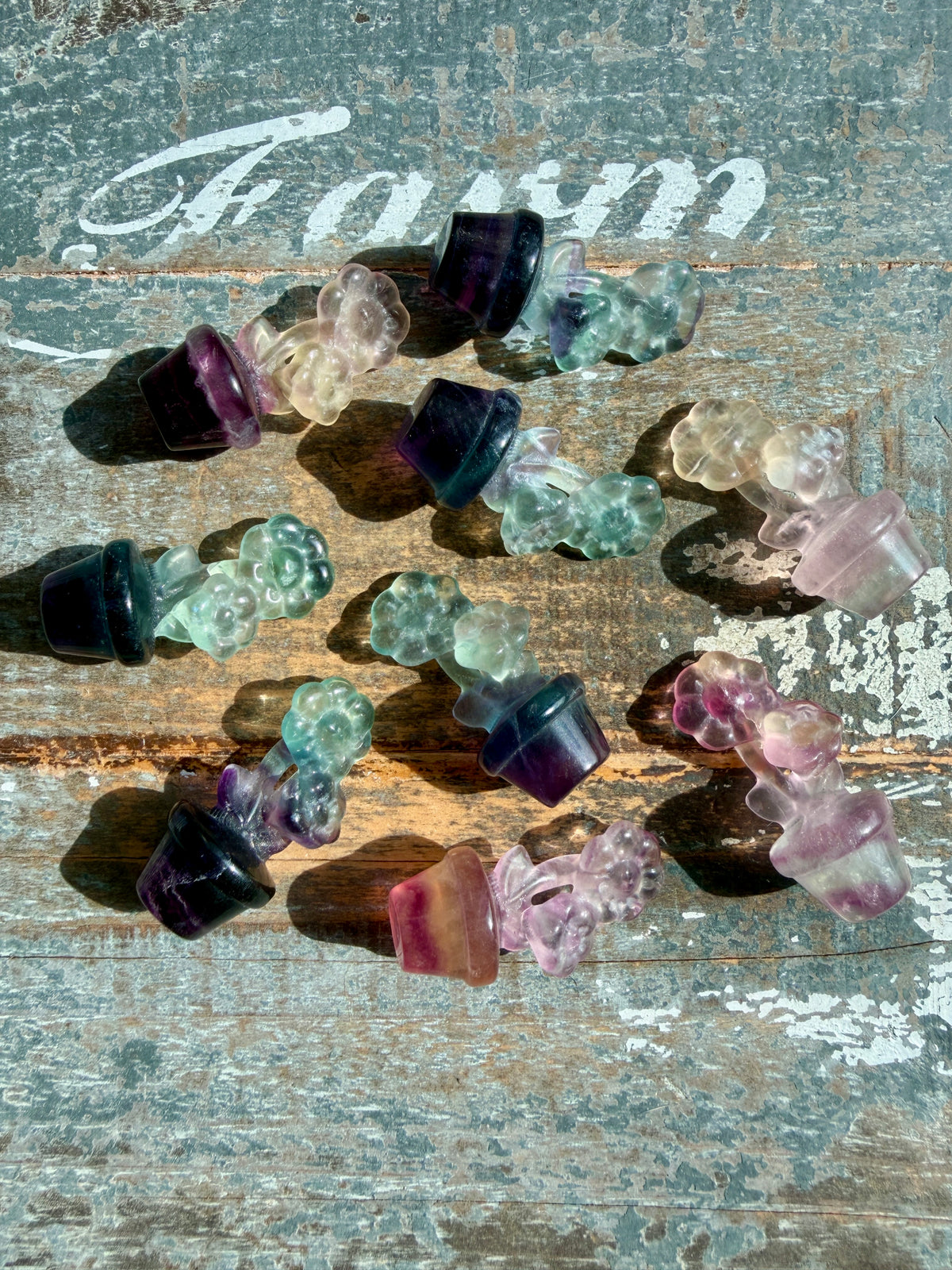 One (1) Adorable Candy Fluorite Mini Sun Flower | Intuitively Chosen