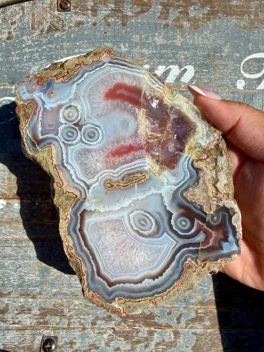 Gorgeous Swazi Agate Slab | Opt M