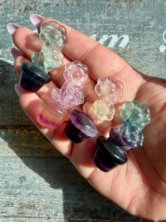 One (1) Adorable Candy Fluorite Mini Sun Flower | Intuitively Chosen
