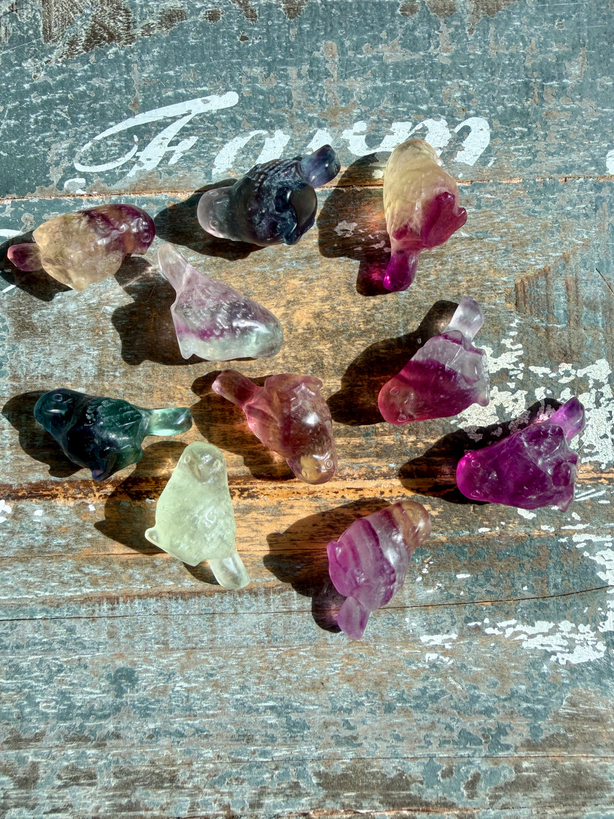 One (1) Adorable Candy Fluorite Mini Bird | Intuitively Chosen