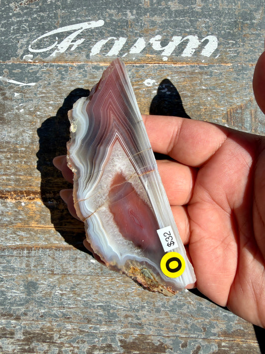 Gorgeous Swazi Agate Slab | Opt O