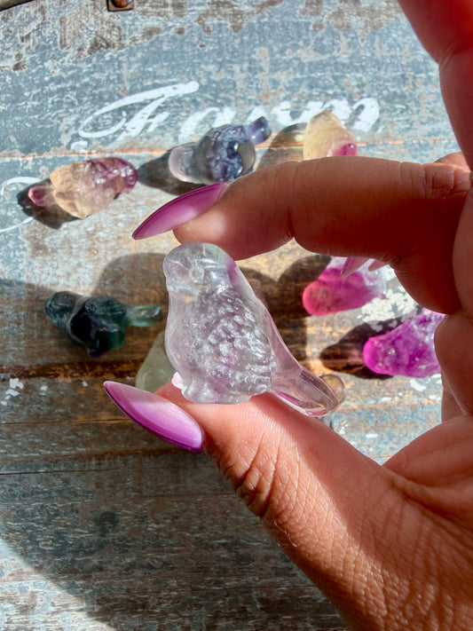One (1) Adorable Candy Fluorite Mini Bird | Intuitively Chosen