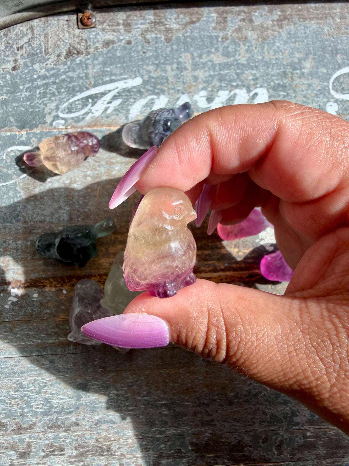 One (1) Adorable Candy Fluorite Mini Bird | Intuitively Chosen