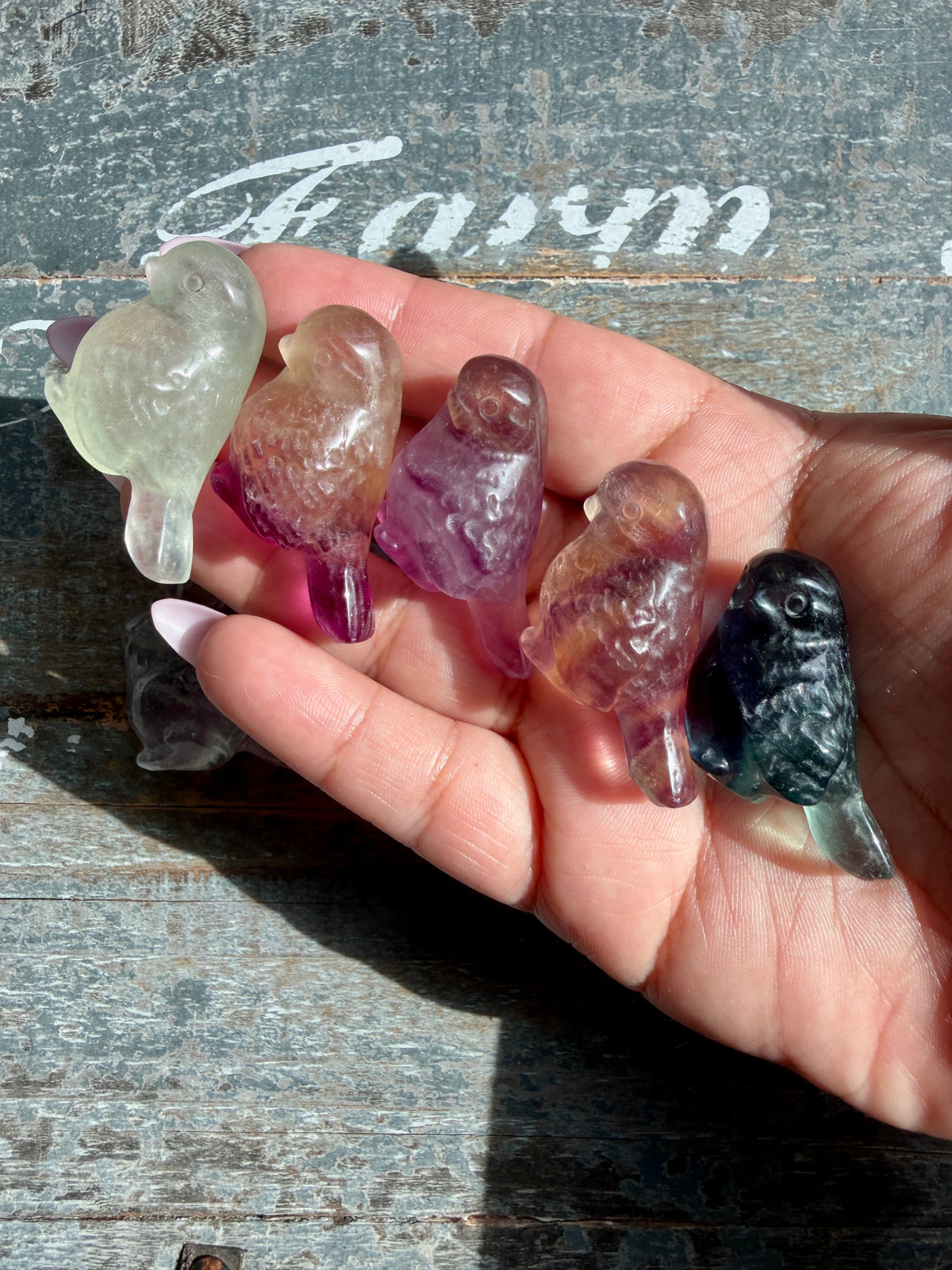 One (1) Adorable Candy Fluorite Mini Bird | Intuitively Chosen