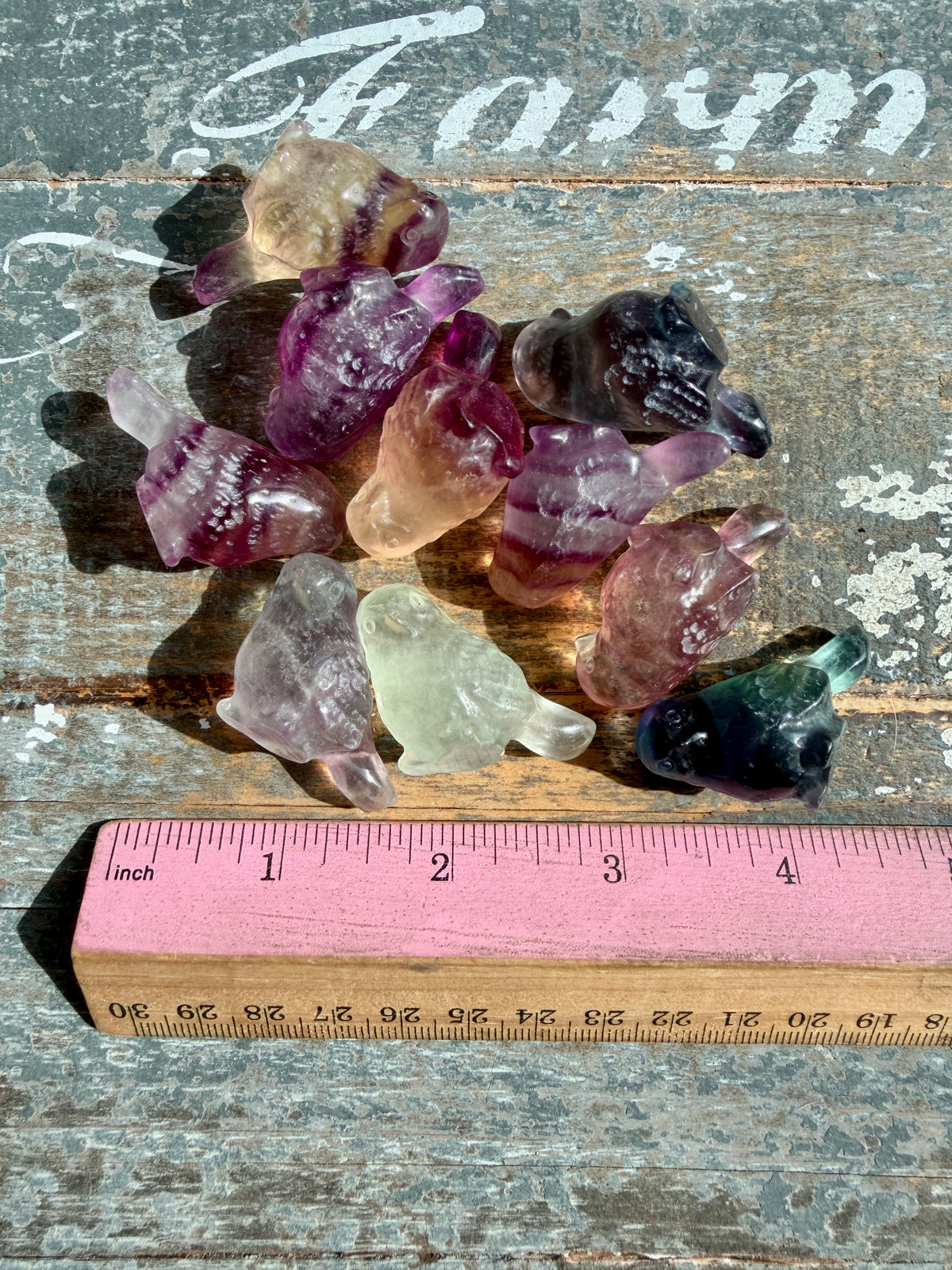 One (1) Adorable Candy Fluorite Mini Bird | Intuitively Chosen