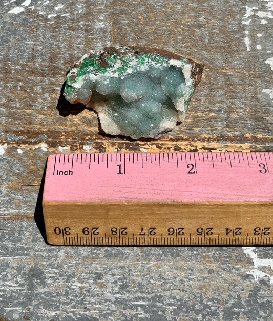 Gorgeous Druzy Malachite Specimen *Rare* from the Congo