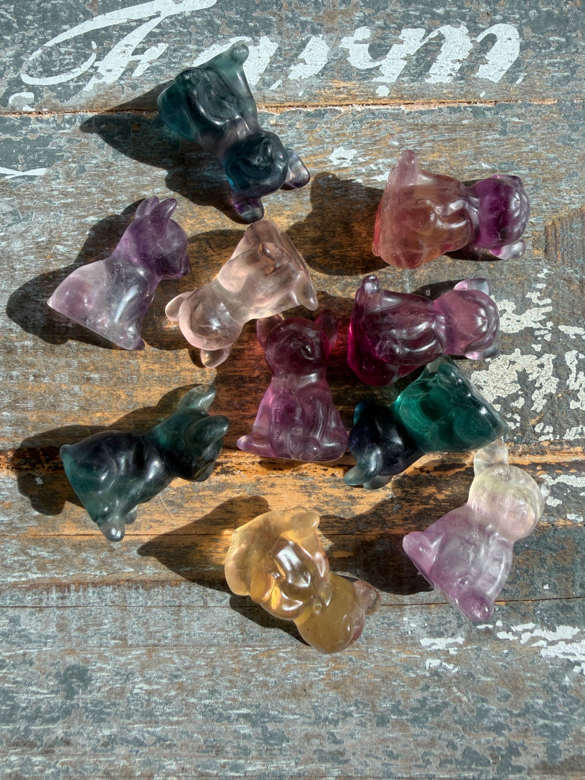 One (1) Adorable Candy Fluorite Mini Bulldog | Intuitively Chosen