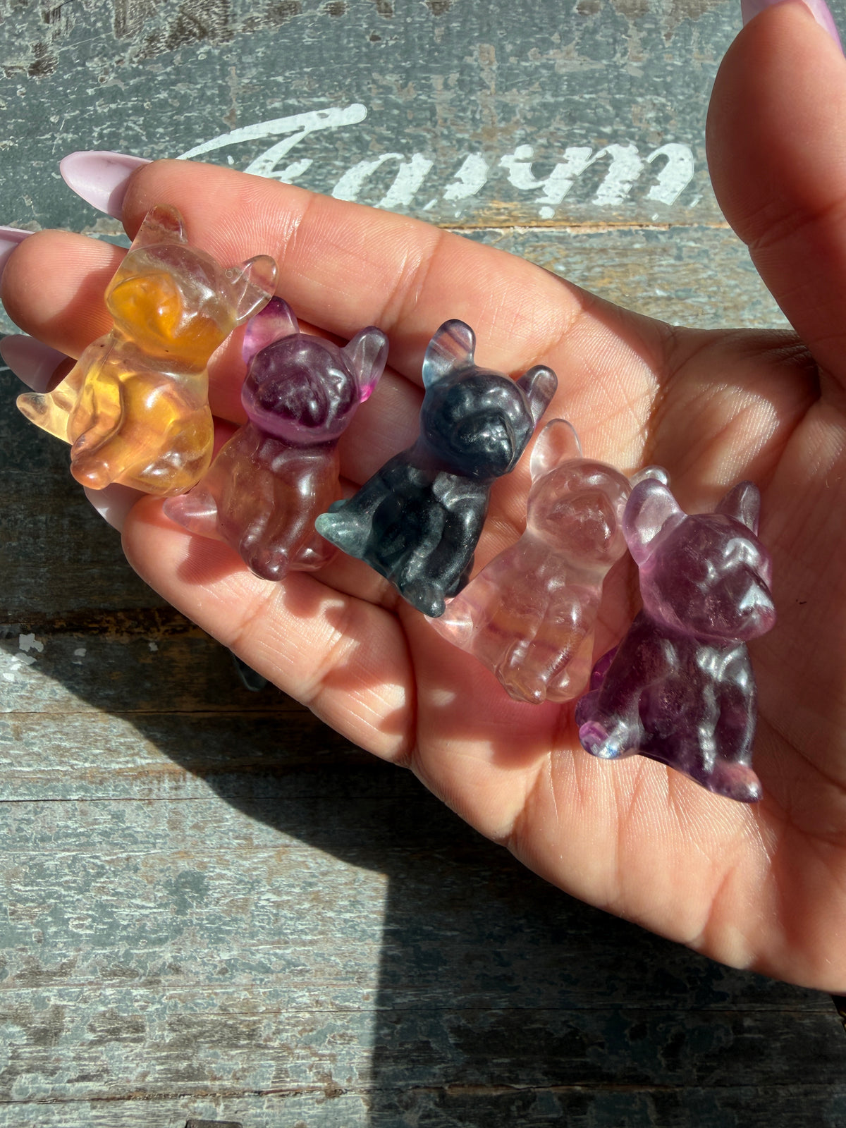 One (1) Adorable Candy Fluorite Mini Bulldog | Intuitively Chosen