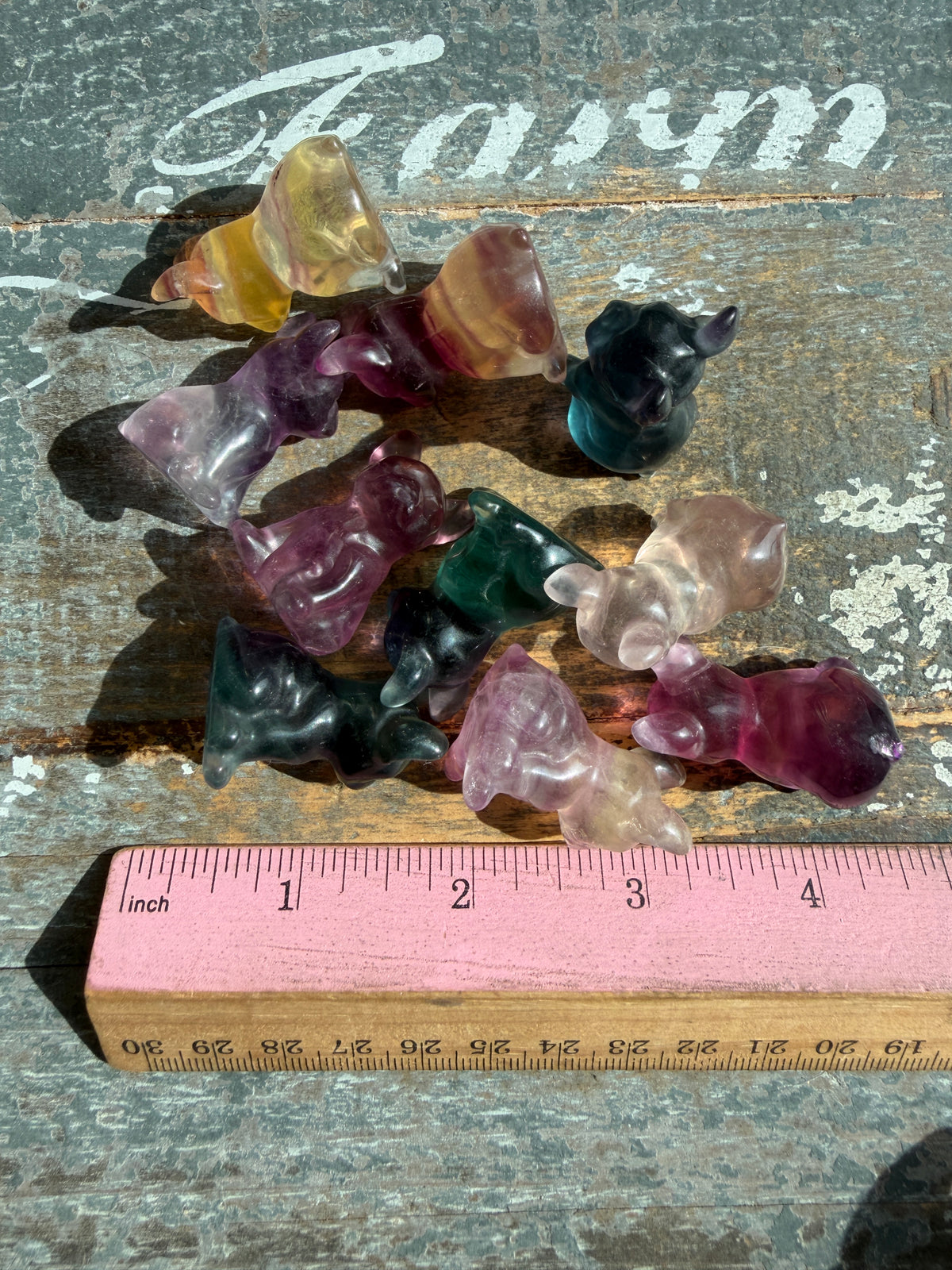 One (1) Adorable Candy Fluorite Mini Bulldog | Intuitively Chosen