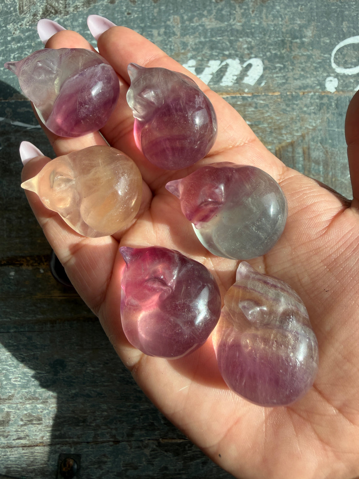 One (1) Adorable Candy Fluorite Mini Sleeping Cat | Intuitively Chosen