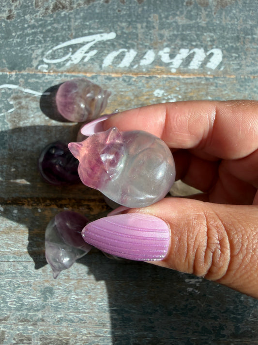 One (1) Adorable Candy Fluorite Mini Sleeping Cat | Intuitively Chosen