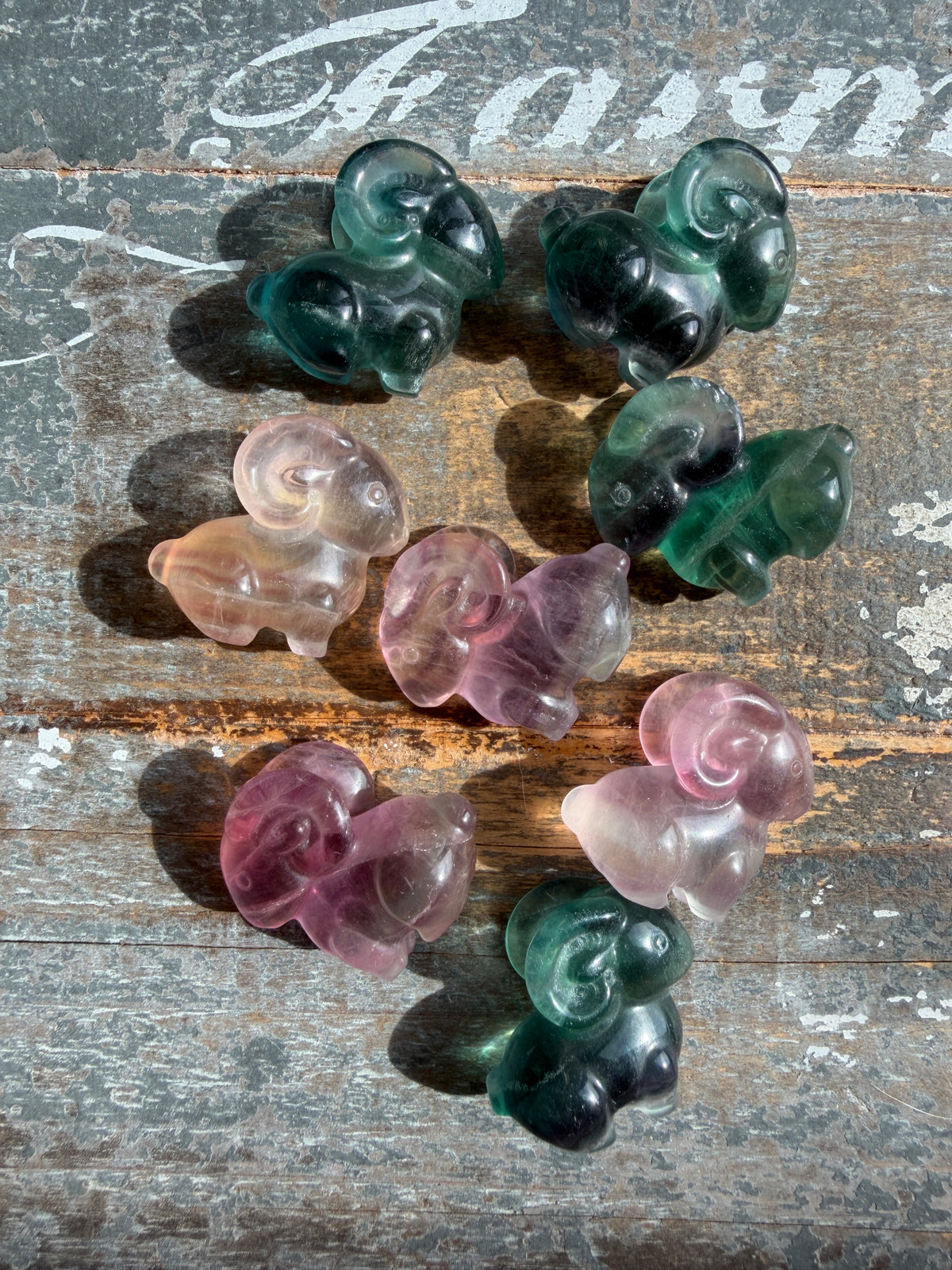 One (1) Adorable Candy Fluorite Mini Goat | Intuitively Chosen