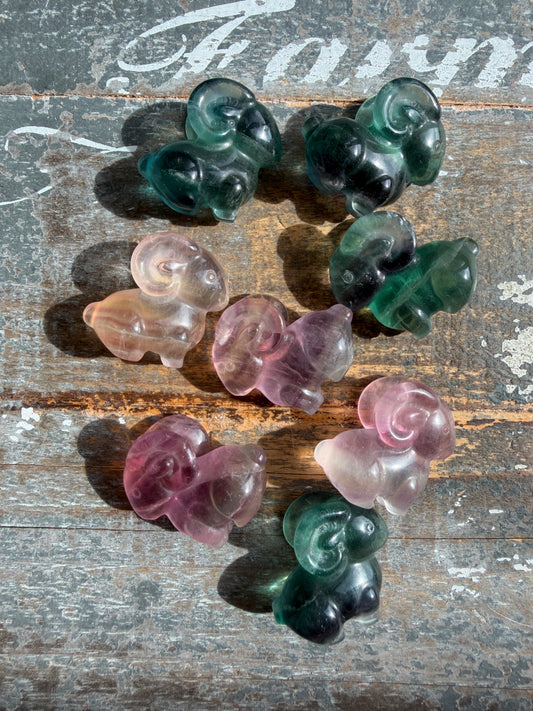 One (1) Adorable Candy Fluorite Mini Goat | Intuitively Chosen