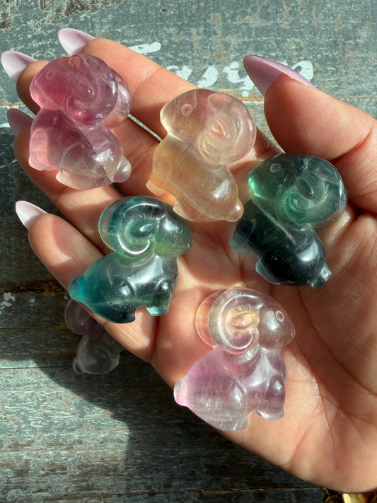 One (1) Adorable Candy Fluorite Mini Goat | Intuitively Chosen