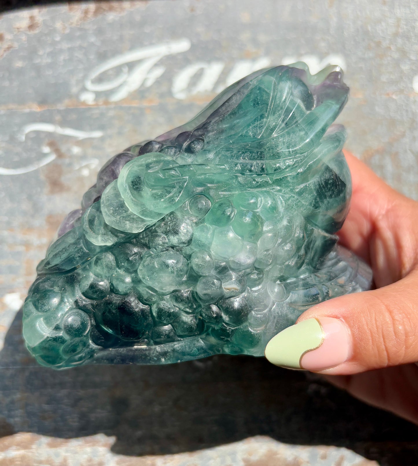 Gorgeous Master Carved Fluorite Money Toad | Money Manifestation