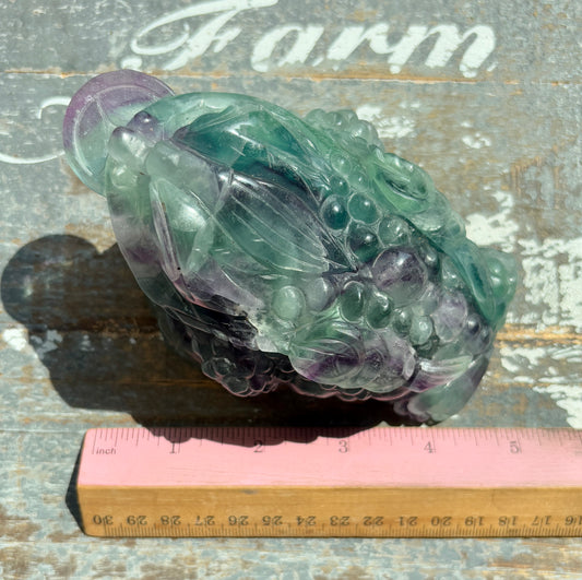 Gorgeous Master Carved Fluorite Money Toad | Money Manifestation