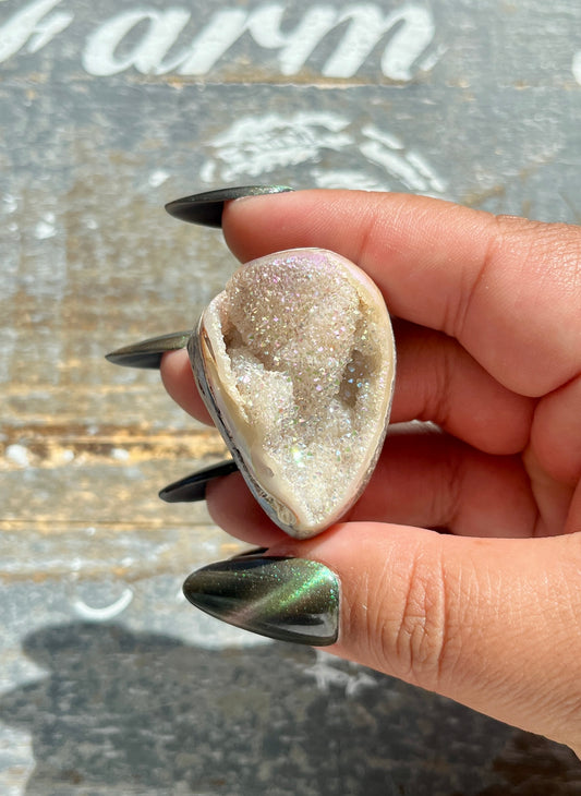 Gorgeous Opal Azotic Coated Fossilized Druzy Shell *Tucson Gem Show Exclusive*