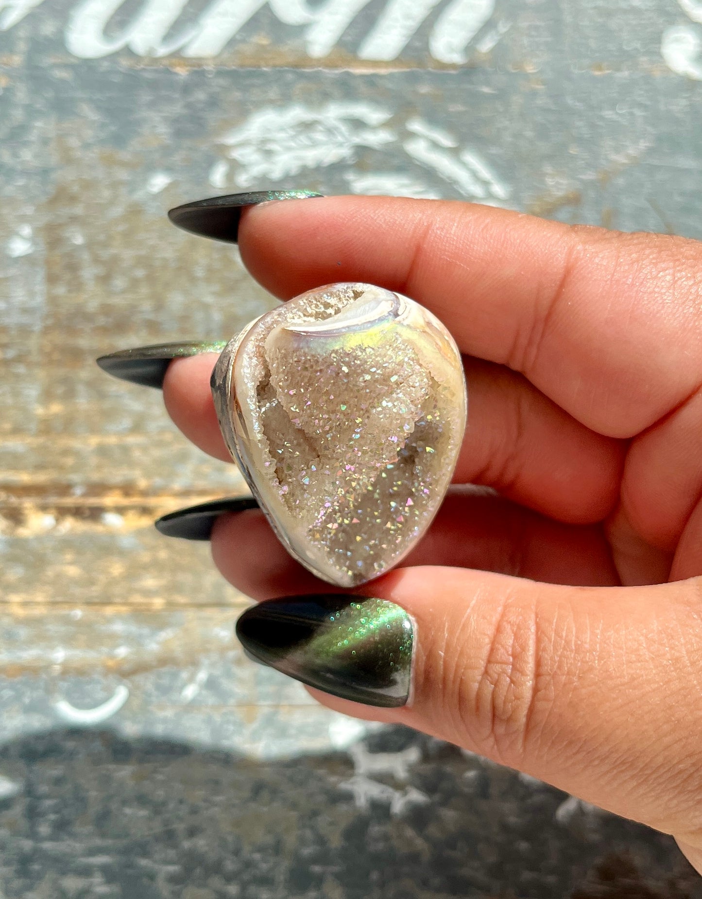 Gorgeous Opal Azotic Coated Fossilized Druzy Shell *Tucson Gem Show Exclusive*