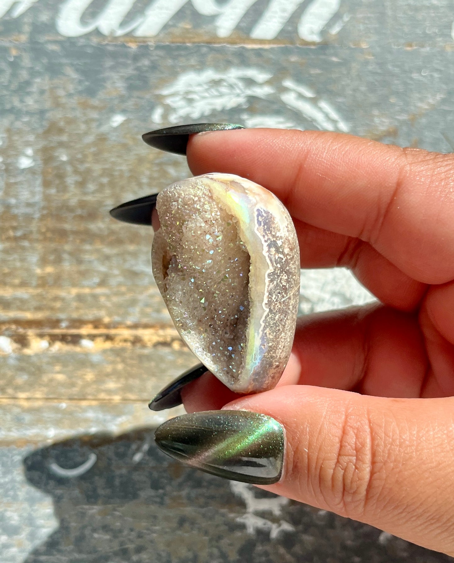 Gorgeous Opal Azotic Coated Fossilized Druzy Shell *Tucson Gem Show Exclusive*