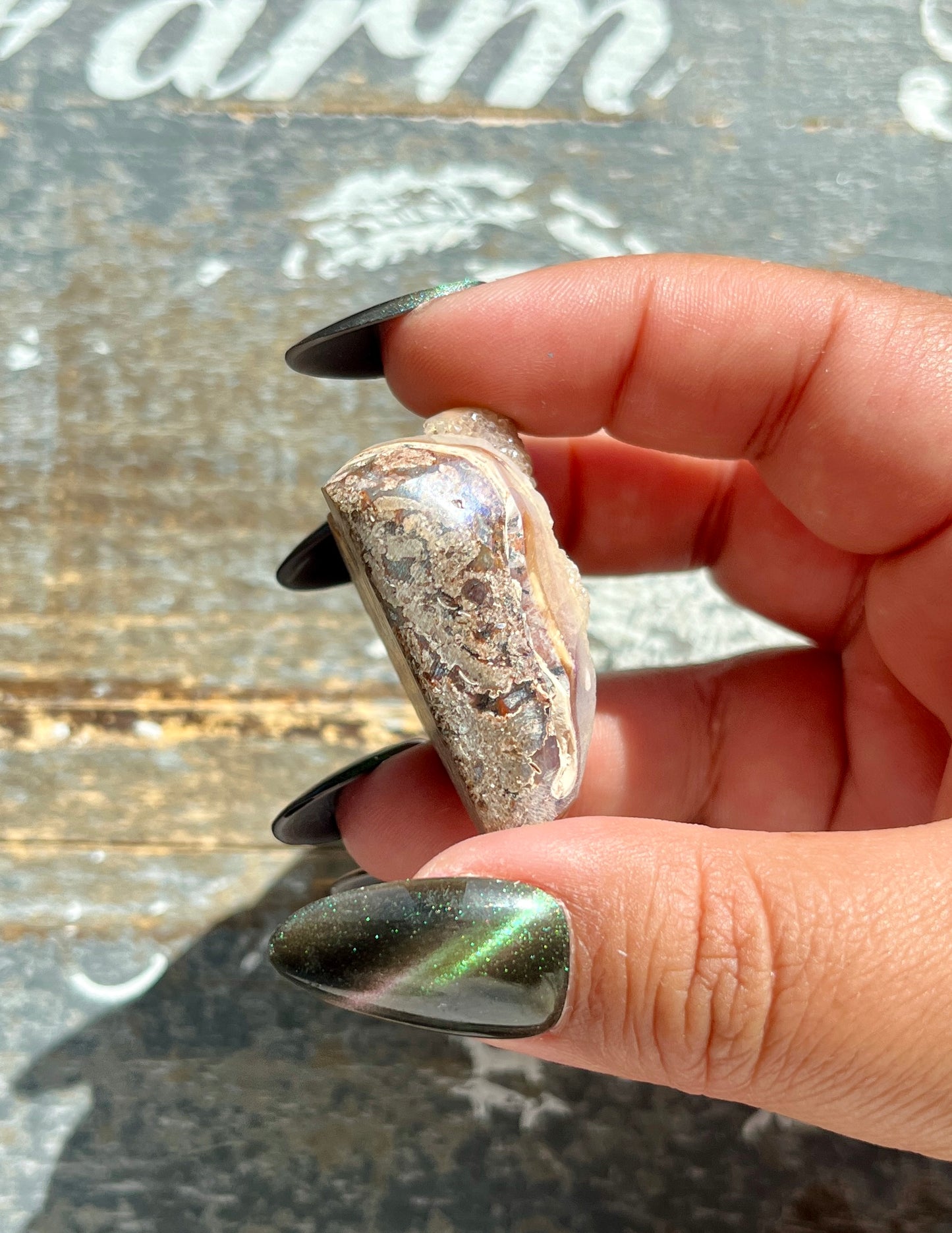 Gorgeous Opal Azotic Coated Fossilized Druzy Shell *Tucson Gem Show Exclusive*