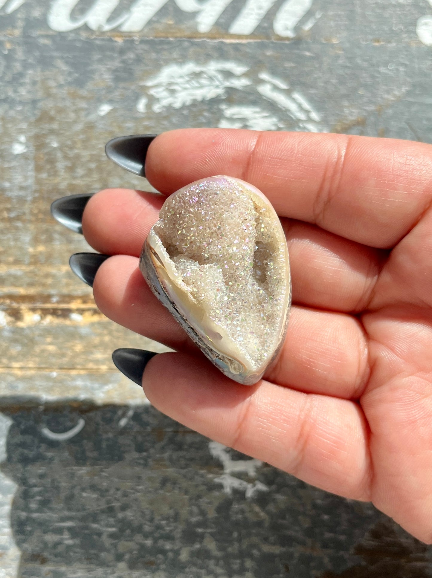 Gorgeous Opal Azotic Coated Fossilized Druzy Shell *Tucson Gem Show Exclusive*