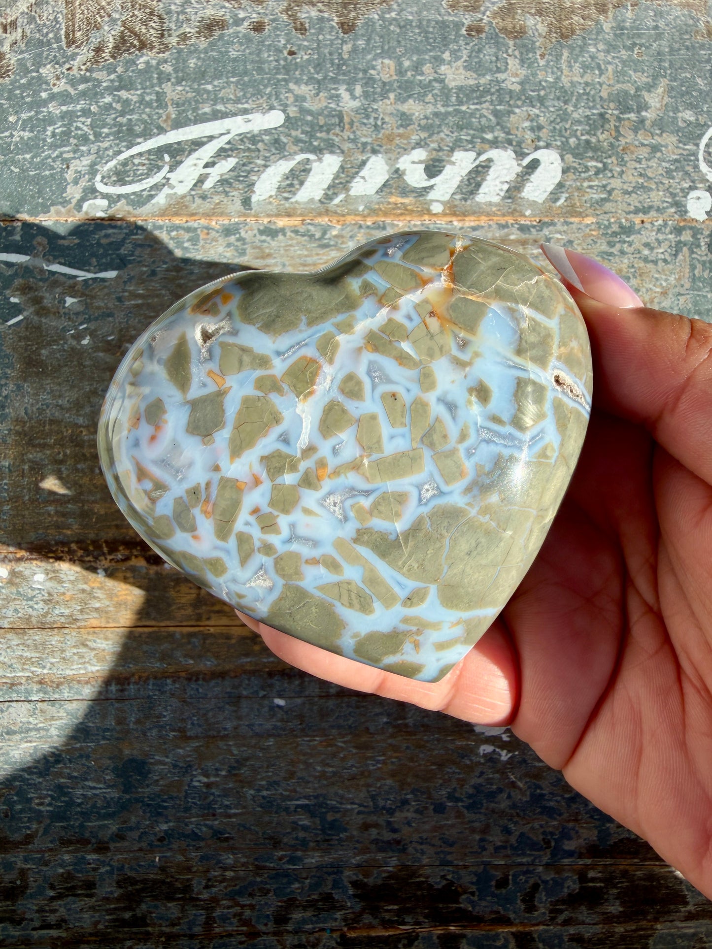 Gorgeous Ibis Jasper Heart | Madagascar | Opt K