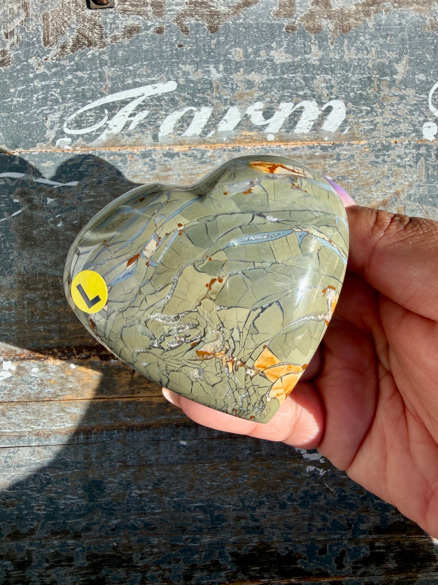 Gorgeous Ibis Jasper Heart | Madagascar | Opt L