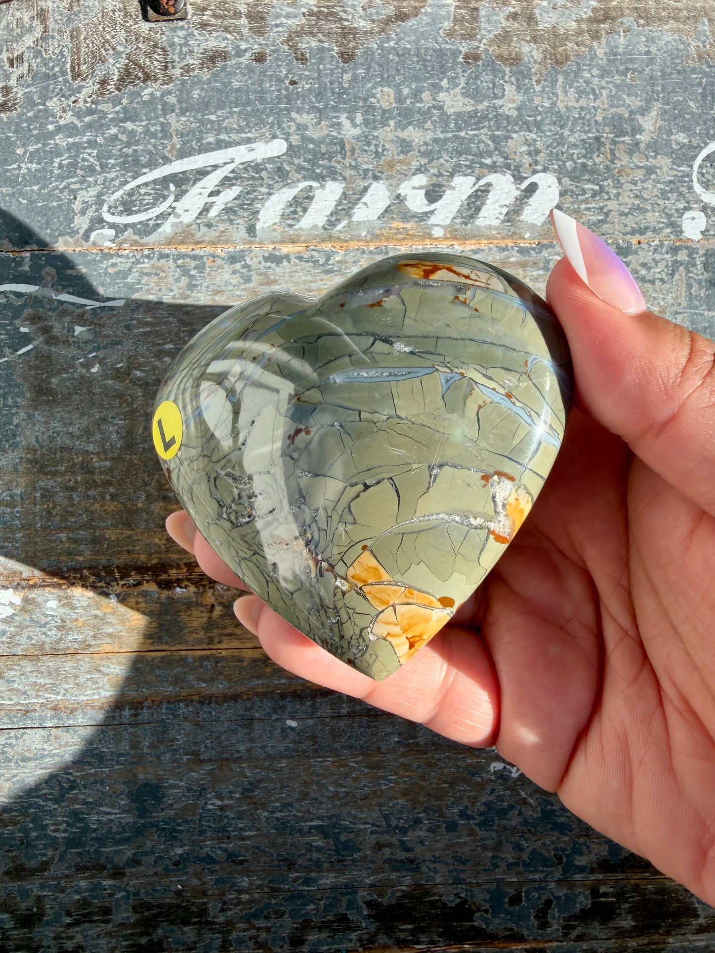 Gorgeous Ibis Jasper Heart | Madagascar | Opt L