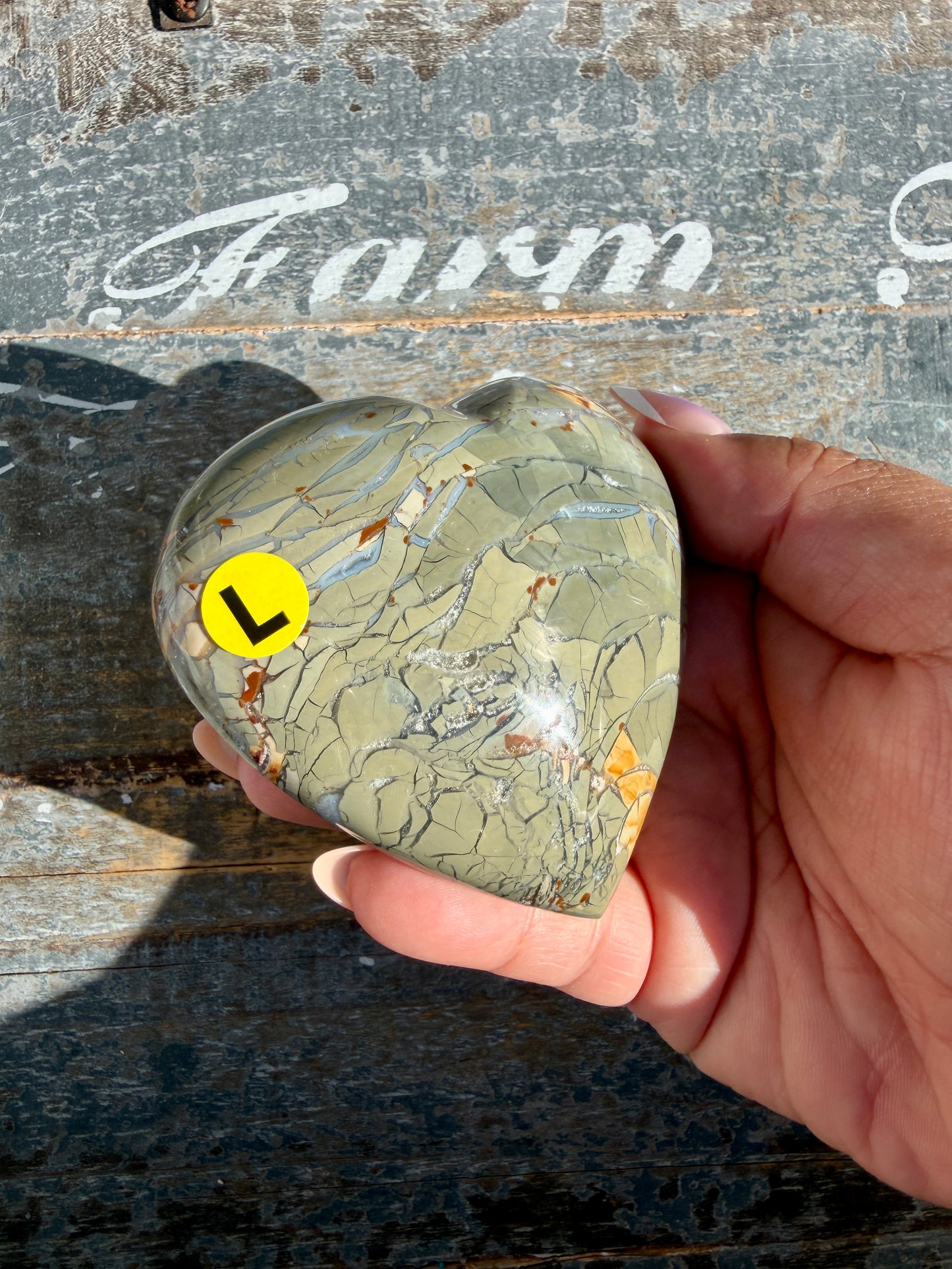 Gorgeous Ibis Jasper Heart | Madagascar | Opt L