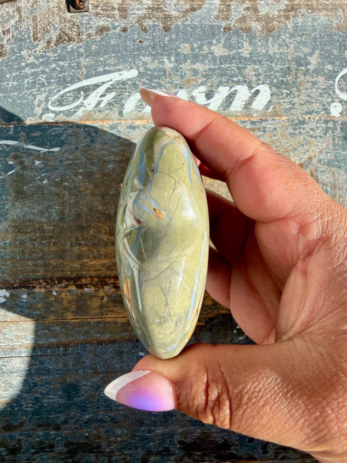 Gorgeous Ibis Jasper Heart | Madagascar | Opt L