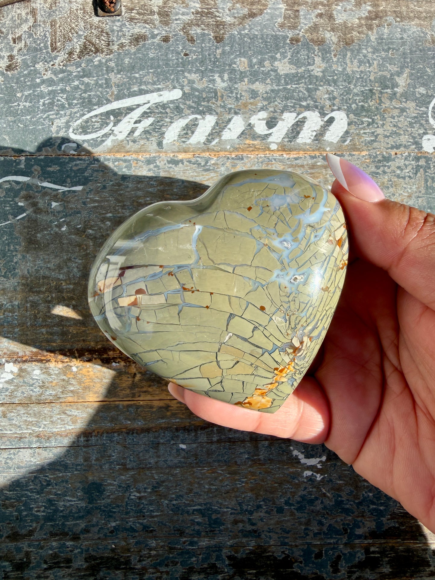 Gorgeous Ibis Jasper Heart | Madagascar | Opt L