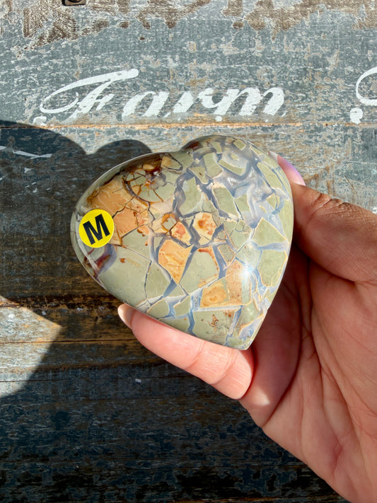 Gorgeous Ibis Jasper Heart | Madagascar | Opt M