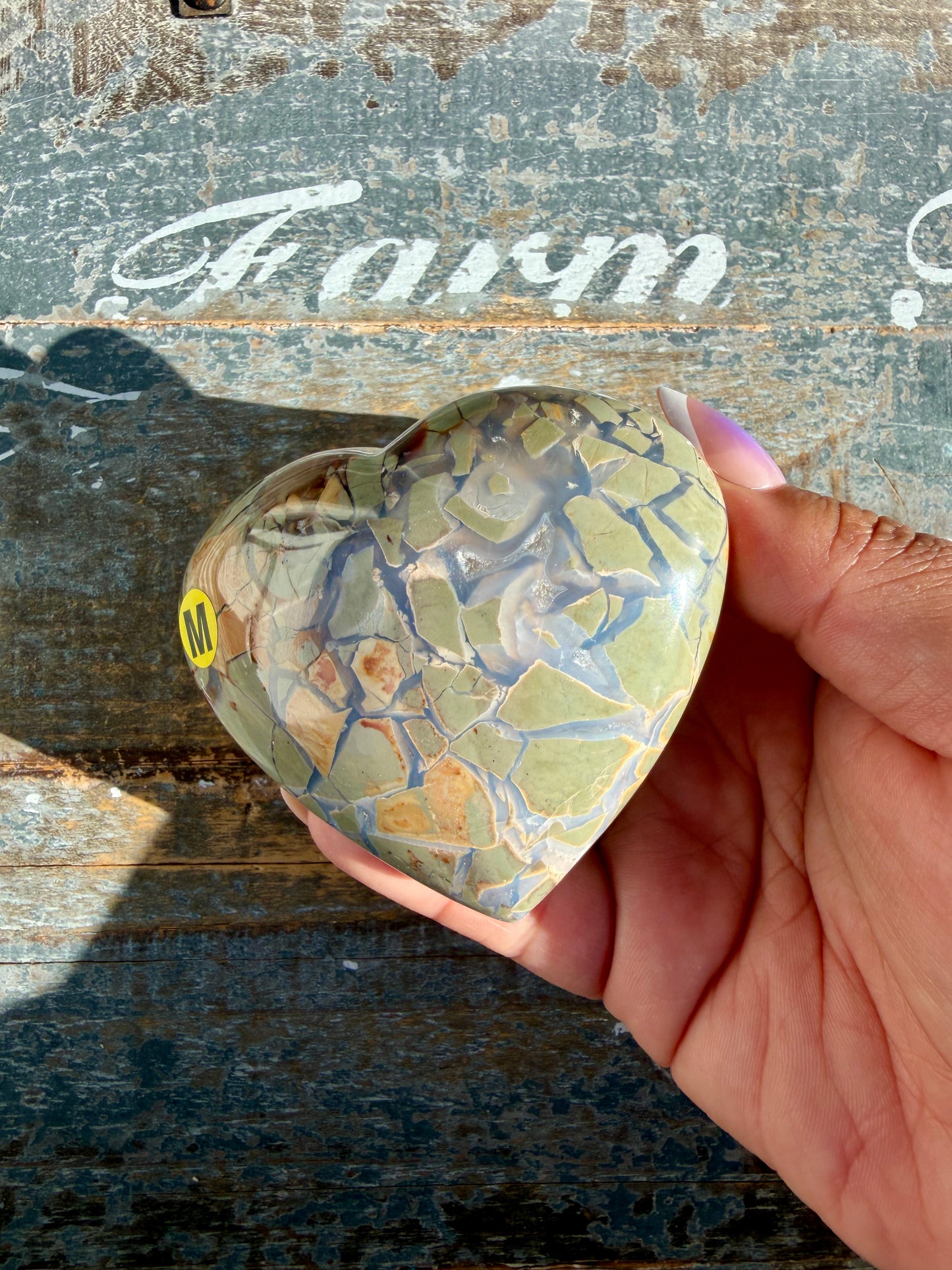 Gorgeous Ibis Jasper Heart | Madagascar | Opt M