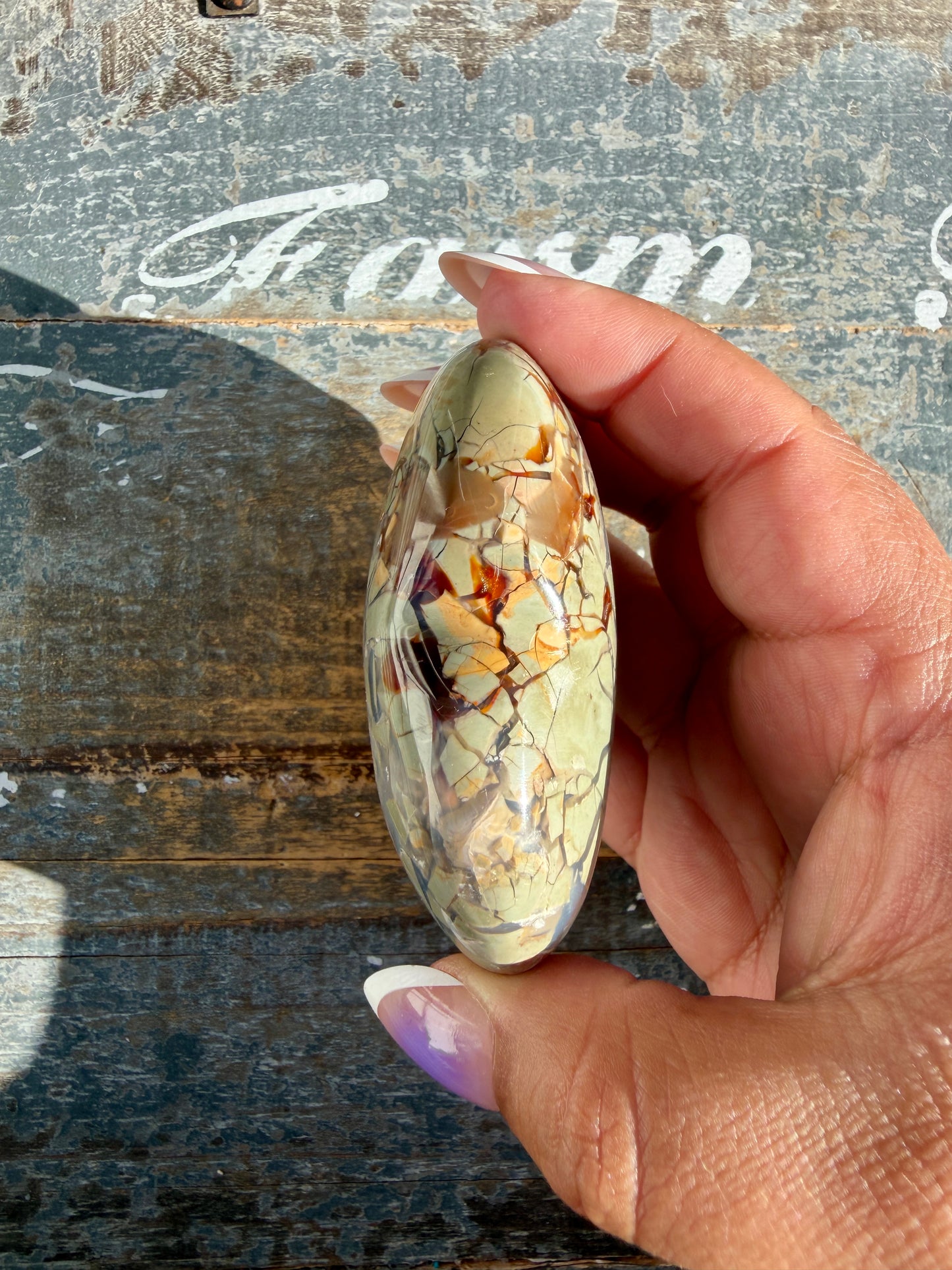 Gorgeous Ibis Jasper Heart | Madagascar | Opt M