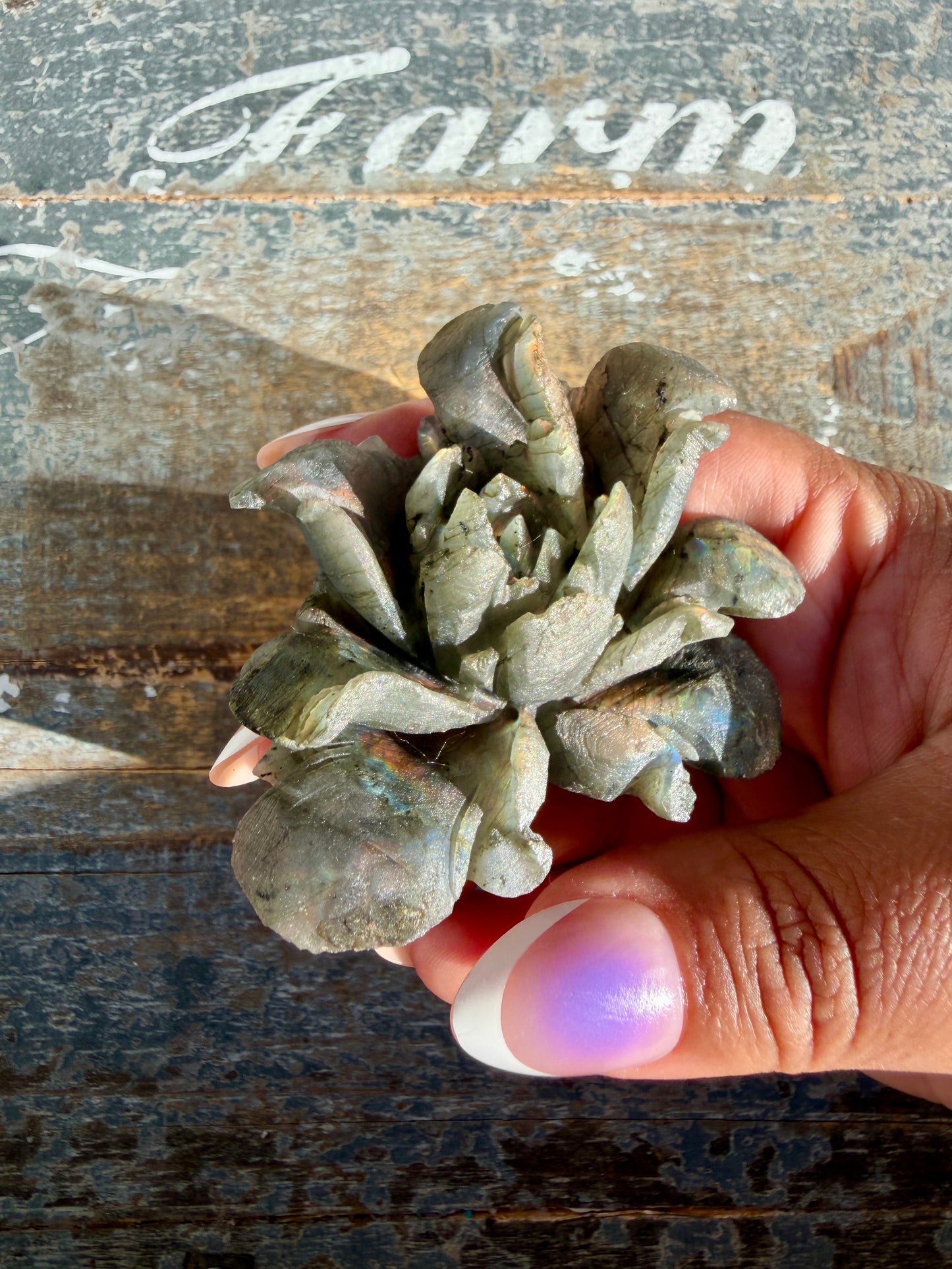 Gorgeous Hand Carved Labradorite Flower Matte Polish | Opt J (self standing)